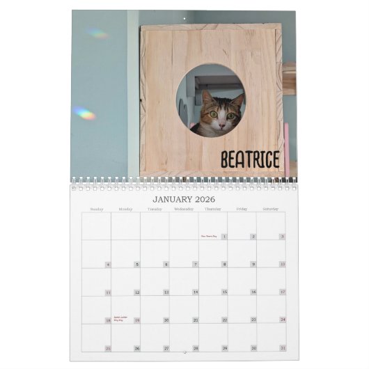 2026 Love & Hisses Calendar - the Britty Bunch Kalender (Jan 2026)