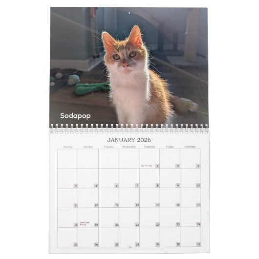 2026 Love & Hisses Calendar - the Pops Kalender (Jan 2026)