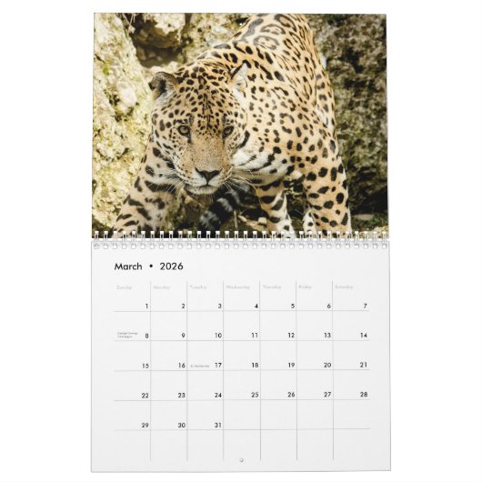 2026 Luipaard Kalender (Mar 2026)