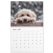 2026 Maltipoo Maltese puppy Kalender (Mar 2027)