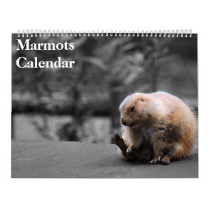 2026 Marmots Kalender