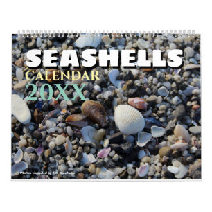 2026 Muurkalender Zeeschelpen Geschenk Kalender