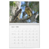 2026 Nature Calendar Kalender (Mar 2026)
