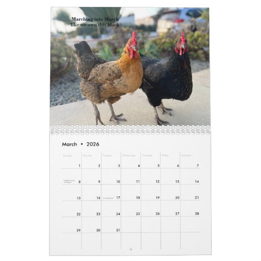 2026 Neighborhood Chicken Calendar Kalender (Mar 2026)