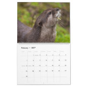 2026 Otters Up Close - Calendrier Courte-Claed (Feb 2027)