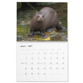 2026 Otters Up Close - Calendrier Courte-Claed (Mar 2027)