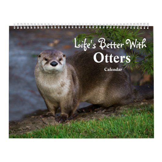 2026 Otters Up Close - Calendrier Courte-Claed (Protection)