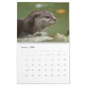 2026 Otters van dichtbij - korte kalender (Jan 2026)
