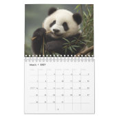 2026 Panda Calendar Kalender (Mar 2027)