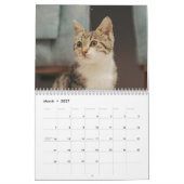2026 Persoonlijke kattenfoto's Maak uw eigen Kalender (Mar 2027)