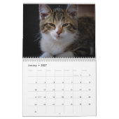 2026 Persoonlijke kattenfoto's Maak uw eigen Kalender (Jan 2027)