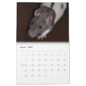2026 Pet Rat Kalender (Mar 2027)