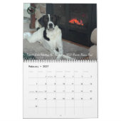 2026 Pointer Rescue Org Kalender (Feb 2027)