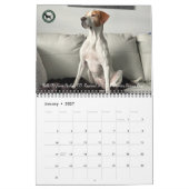 2026 Pointer Rescue Org Kalender (Jan 2027)