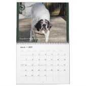 2026 Pointer Rescue Org Kalender (Mar 2027)