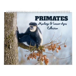 2026 Primaten - Monkeys & Lesser Apes Collectie Kalender