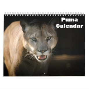 2026 Puma Kalender