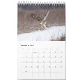 2026 Red-Tailed Hawk Kalender (Feb 2027)