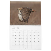 2026 Red-Tailed Hawks in de Hudsonvallei Kalender (Mar 2026)