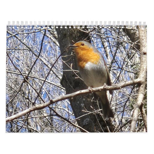 2026 Reisnotities Kalender (Hoes)