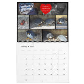 2026 Rfalconcam Kalender (Jan 2027)