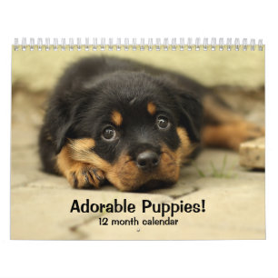 2026 Schattige Puppies Twaalf maanden Hond Kalender