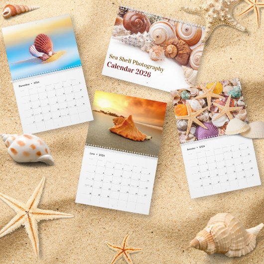 2026 Sea Shell | Coastal  Shell Photography Kalender