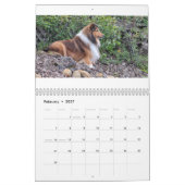 2026 Sheltie Kalender (Feb 2027)