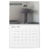 2026 silly cat Calendar Kalender (Feb 2026)