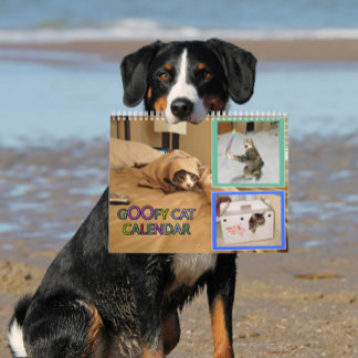 2026 silly cat Calendar Kalender