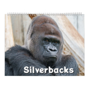 2026 Silverback Kalender