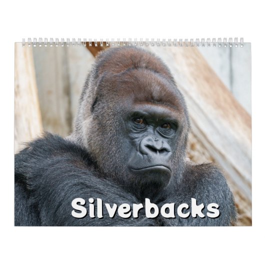 2026 Silverback Kalender (Hoes)