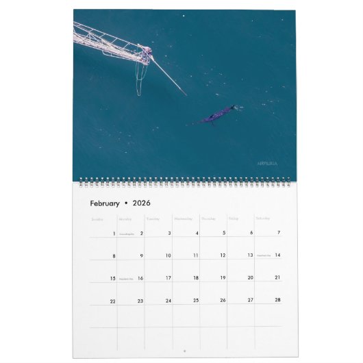 2026 Swordfish Calendar Kalender (Feb 2026)