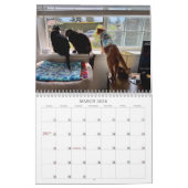 2026 TCF and Friends Calendar Kalender (Mar 2026)