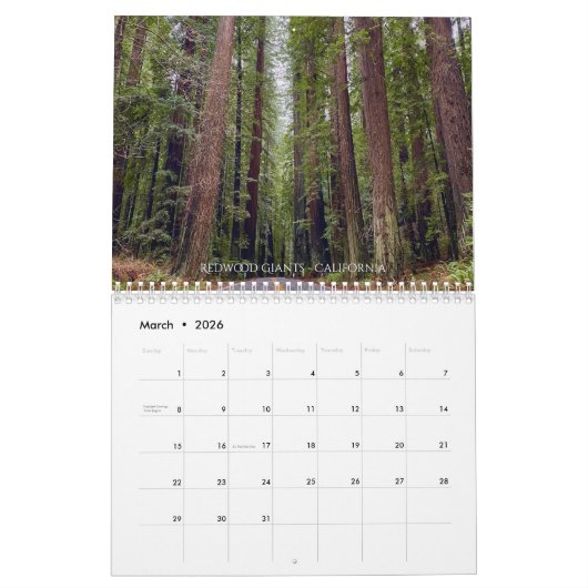 2026 Traveling with Ann Charles Wall Calendar Kalender (Mar 2026)