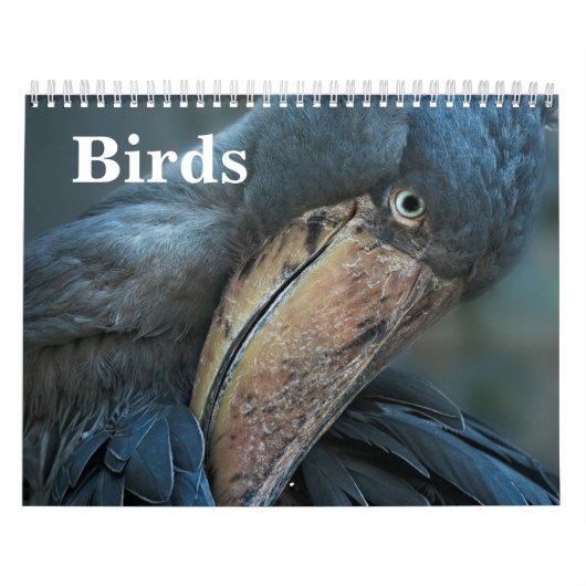 2026 Vogels Kalender (Hoes)