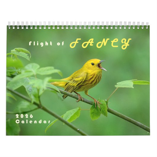 2026 Warblers - Original Bird Photo Calendar Kalender (Hoes)