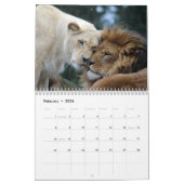 2026 Wild Lions Kalender (Feb 2026)