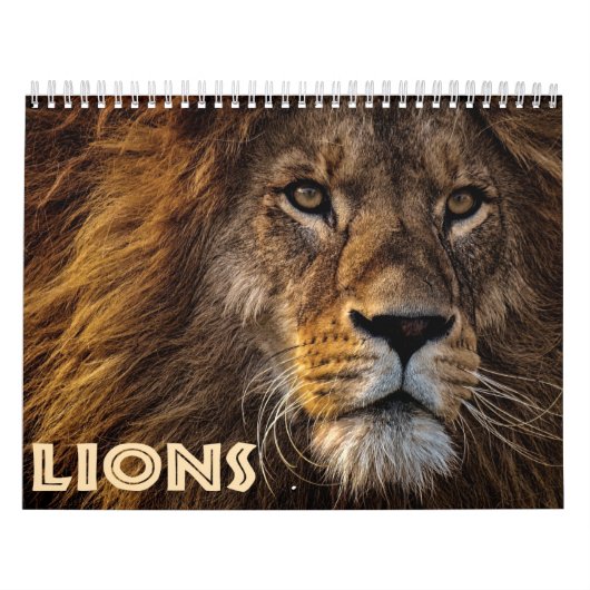 2026 Wild Lions Kalender (Hoes)