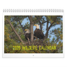 2026 Wilde Dieren Kalender van Kevin Harris