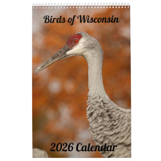 2026 Wisconsin Birds Calendar Kalender (Hoes)