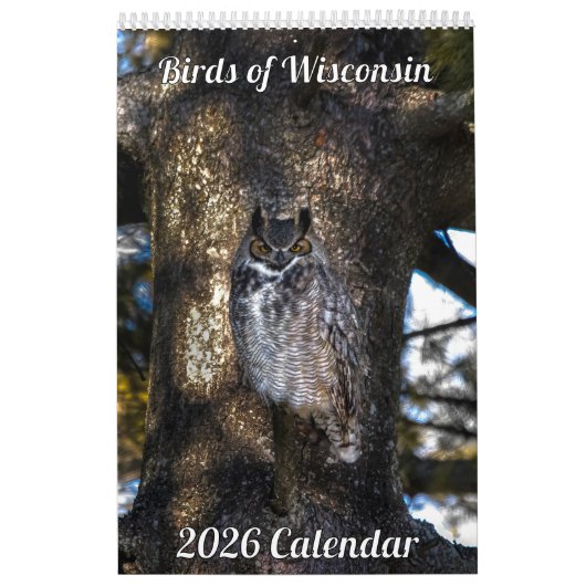 2026 Wisconsin Birds Calendar Kalender (Hoes)