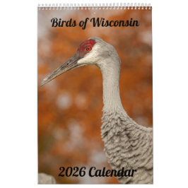 2026 Wisconsin Vogels Kalender
