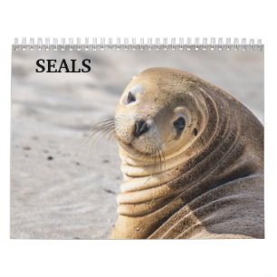 2026 Zeeleeuw Zegelkalender Kalender