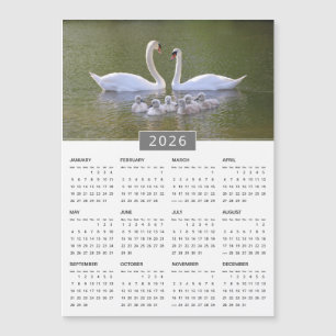 2026 Zwaan & Cygnets Kalendermagneet