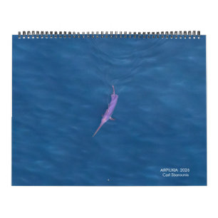 2026 Zwaardvis Kalender
