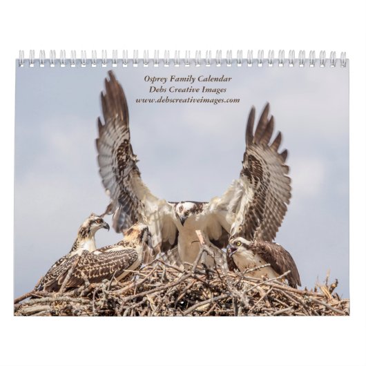 2027 Adirondack Visarend Familie | Wilde dieren Kalender (Hoes)