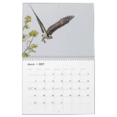 2027 Adirondack Visarend Familie | Wilde dieren Kalender (Mar 2027)