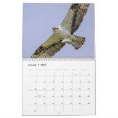 2027 Adirondack Visarend Familie | Wilde dieren Kalender (Jan 2027)