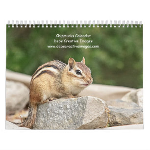 2027 Adirondack Wangetandkorrels Natuurfotografi Kalender